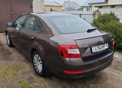 Фото Skoda Octavia