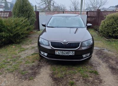 Фото Skoda Octavia