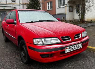 Фото Nissan Primera