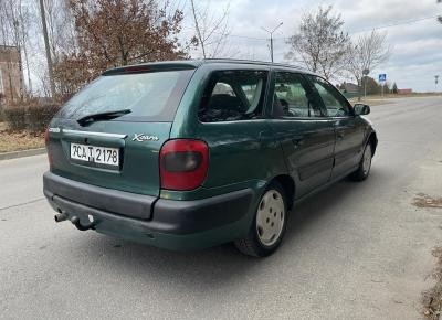 Фото Citroen Xsara