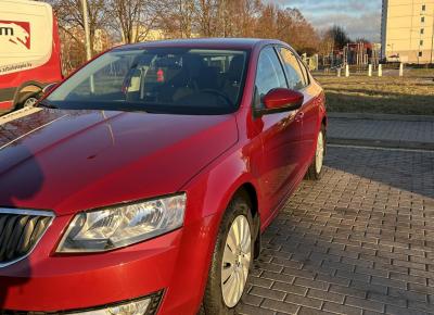 Фото Skoda Octavia