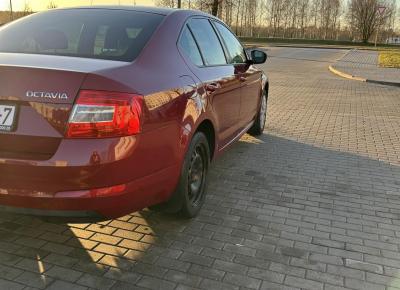 Фото Skoda Octavia