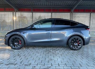 Фото Tesla Model Y