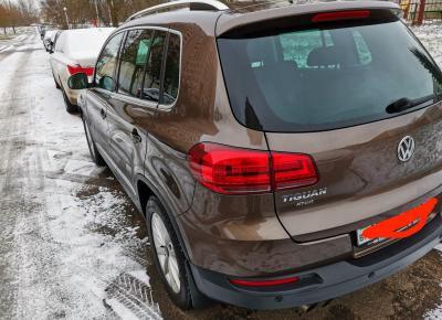 Фото Volkswagen Tiguan