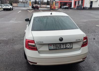 Фото Skoda Octavia