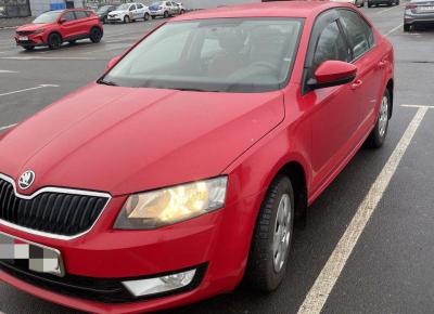 Фото Skoda Octavia