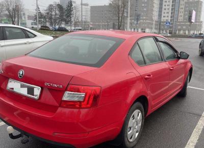 Фото Skoda Octavia