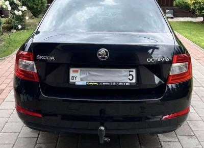 Фото Skoda Octavia