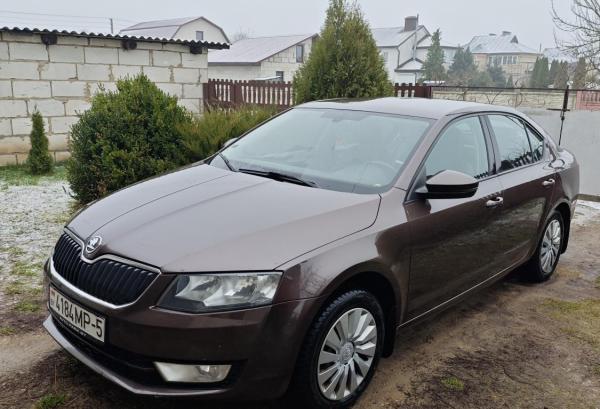 Skoda Octavia, 2013 год выпуска с двигателем Бензин, 36 535 BYN в г. Солигорск