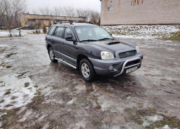 Hyundai Santa Fe, 2002 год выпуска с двигателем Дизель, 25 346 BYN в г. Полоцк