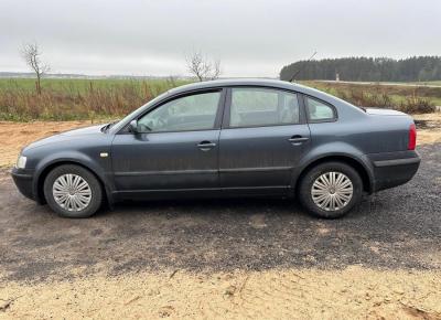 Фото Volkswagen Passat