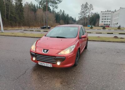 Фото Peugeot 307