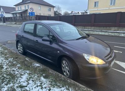 Фото Peugeot 307