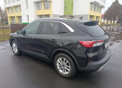 Фото Ford Kuga