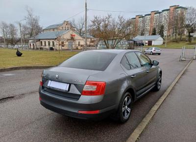 Фото Skoda Octavia