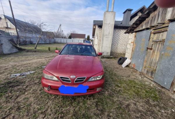 Nissan Primera, 2000 год выпуска с двигателем Дизель, 6 267 BYN в г. Столбцы