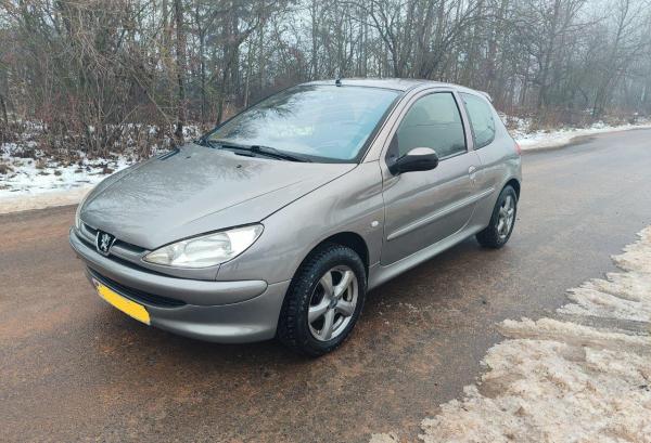 Peugeot 206, 2003 год выпуска с двигателем Бензин, 13 661 BYN в г. Смолевичи