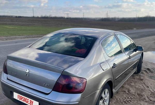 Peugeot 407, 2004 год выпуска с двигателем Дизель, 15 019 BYN в г. Минск