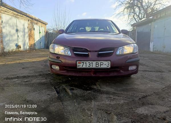 Nissan Almera, 2001 год выпуска с двигателем Бензин, 6 149 BYN в г. Гомель