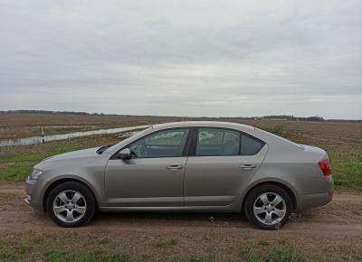 Фото Skoda Octavia