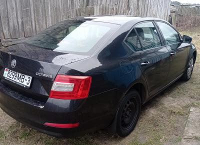 Фото Skoda Octavia