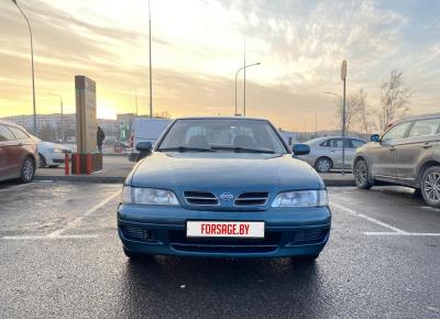 Фото Nissan Primera