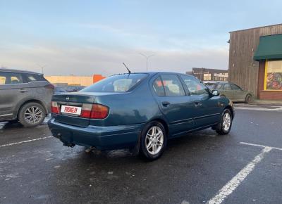 Фото Nissan Primera