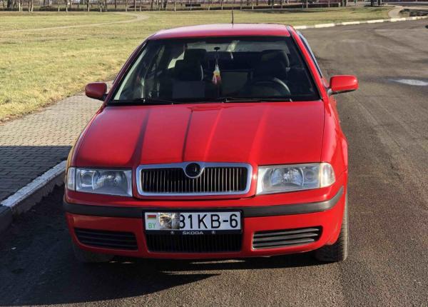 Skoda Octavia, 2008 год выпуска с двигателем Бензин, 18 192 BYN в г. Могилёв