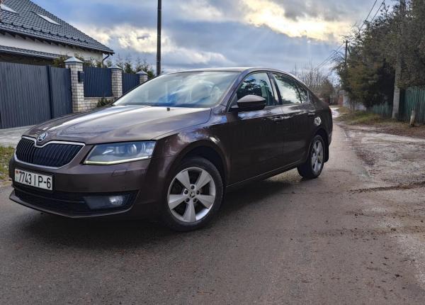 Skoda Octavia, 2014 год выпуска с двигателем Бензин, 37 075 BYN в г. Минск