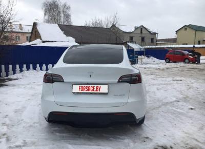 Фото Tesla Model Y