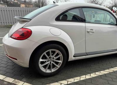 Фото Volkswagen Beetle