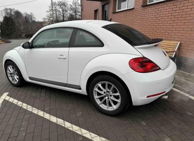 Фото Volkswagen Beetle