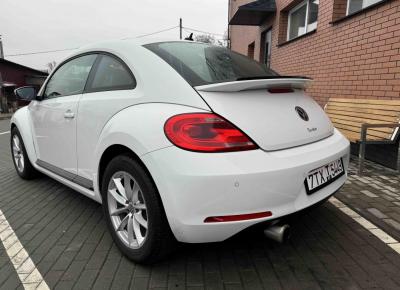 Фото Volkswagen Beetle