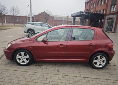 Фото Peugeot 307