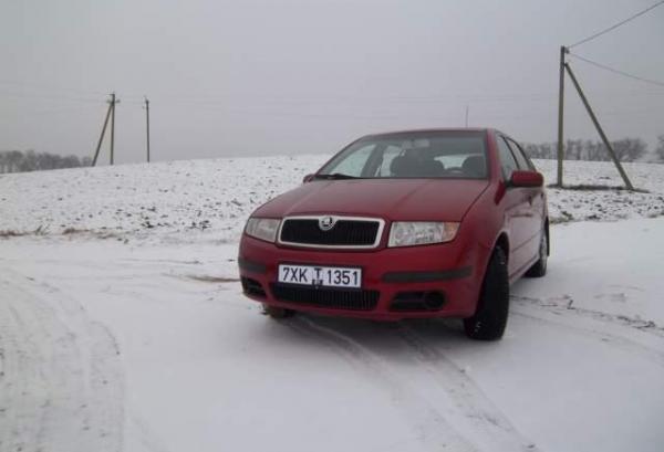 Skoda Fabia, 2006 год выпуска с двигателем Бензин, 13 775 BYN в г. Минск