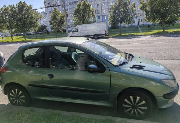 Peugeot 206, 2002 год выпуска с двигателем Бензин, 7 291 BYN в г. Минск