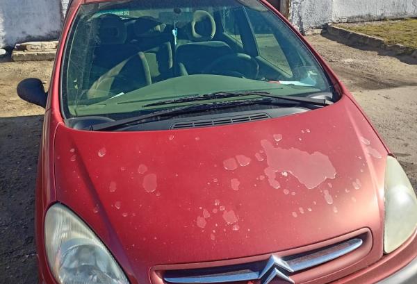 Citroen Xsara Picasso, 2000 год выпуска с двигателем Бензин, 10 000 BYN в г. Новогрудок