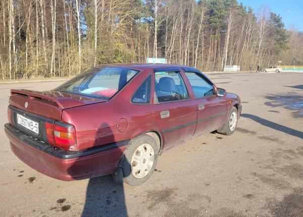 Opel Vectra, 1995 год выпуска с двигателем Дизель, 4 130 BYN в г. Молодечно