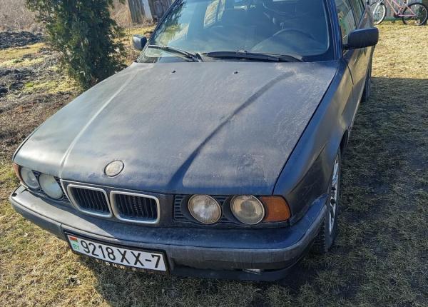 BMW 5 серия, 1995 год выпуска с двигателем Дизель, 7 439 BYN в г. Минск