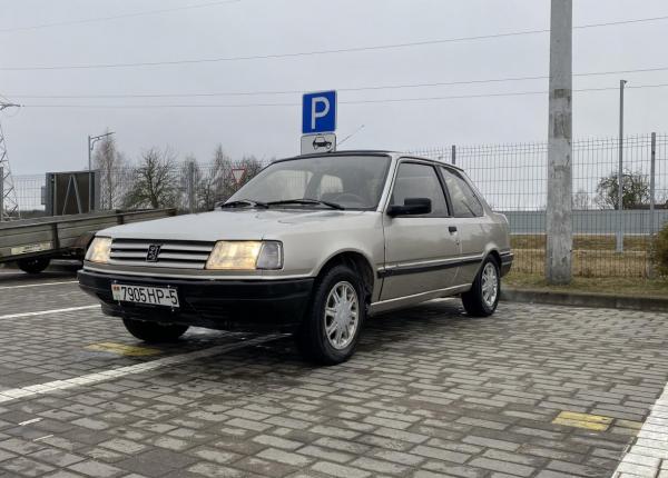 Peugeot 309, 1993 год выпуска с двигателем Бензин, 5 606 BYN в г. Лида