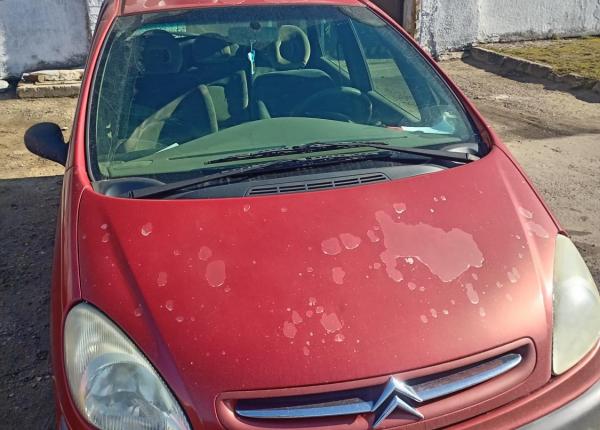 Citroen Xsara Picasso, 2000 год выпуска с двигателем Бензин, 10 000 BYN в г. Новогрудок