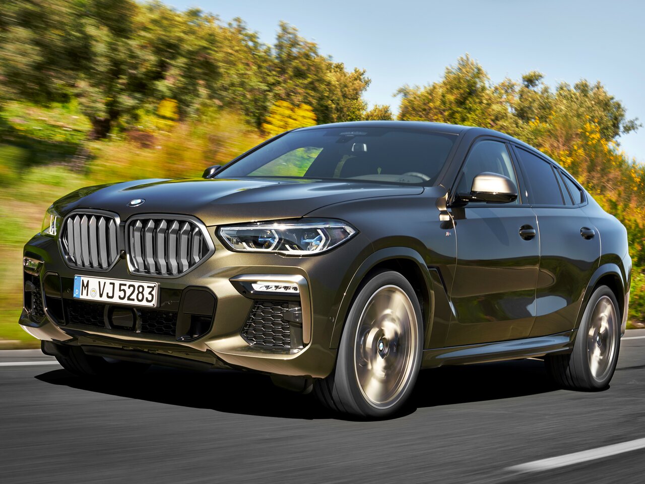 Фото BMW X6 III (G06)