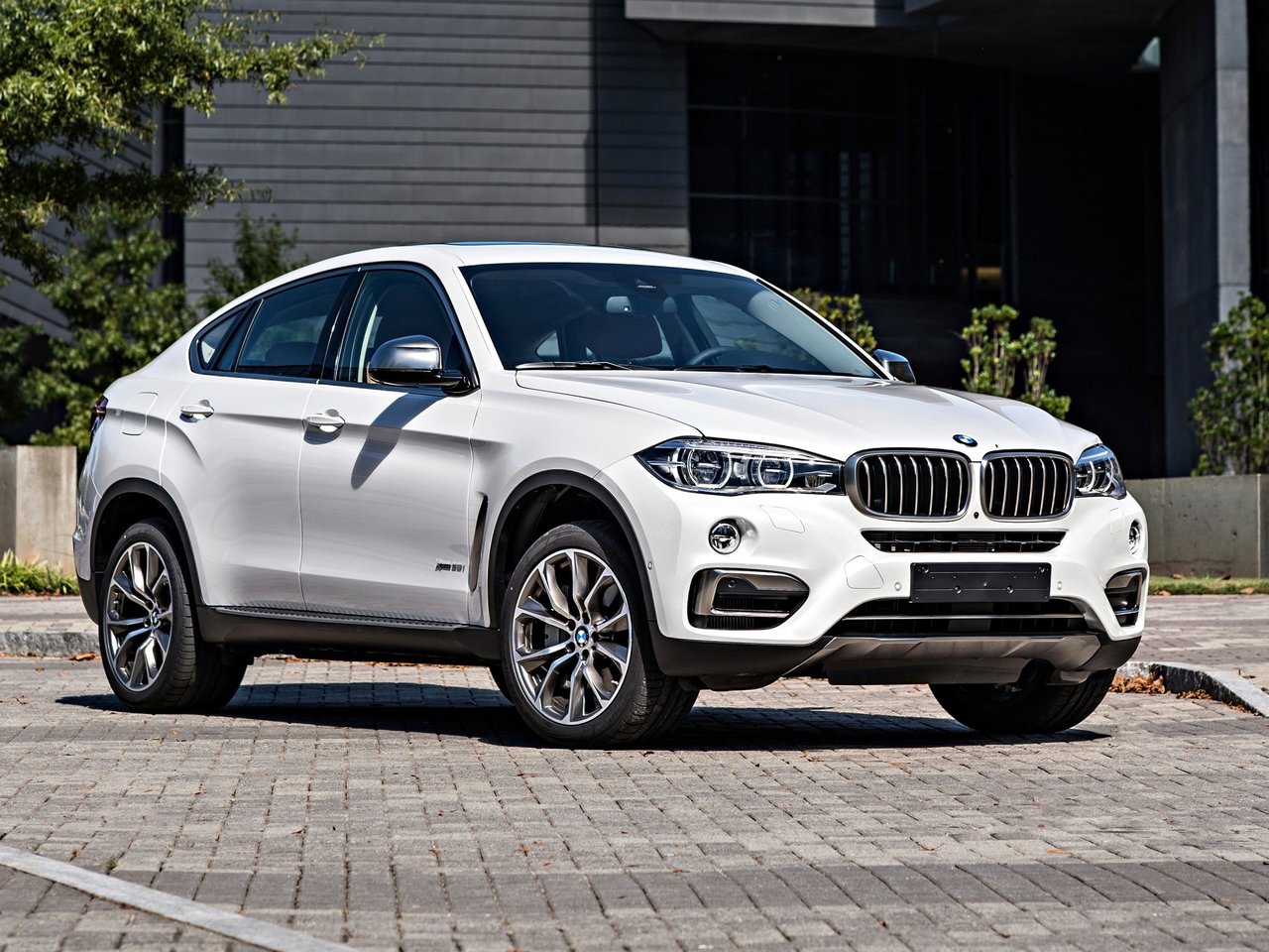 Фото BMW X6 II (F16)