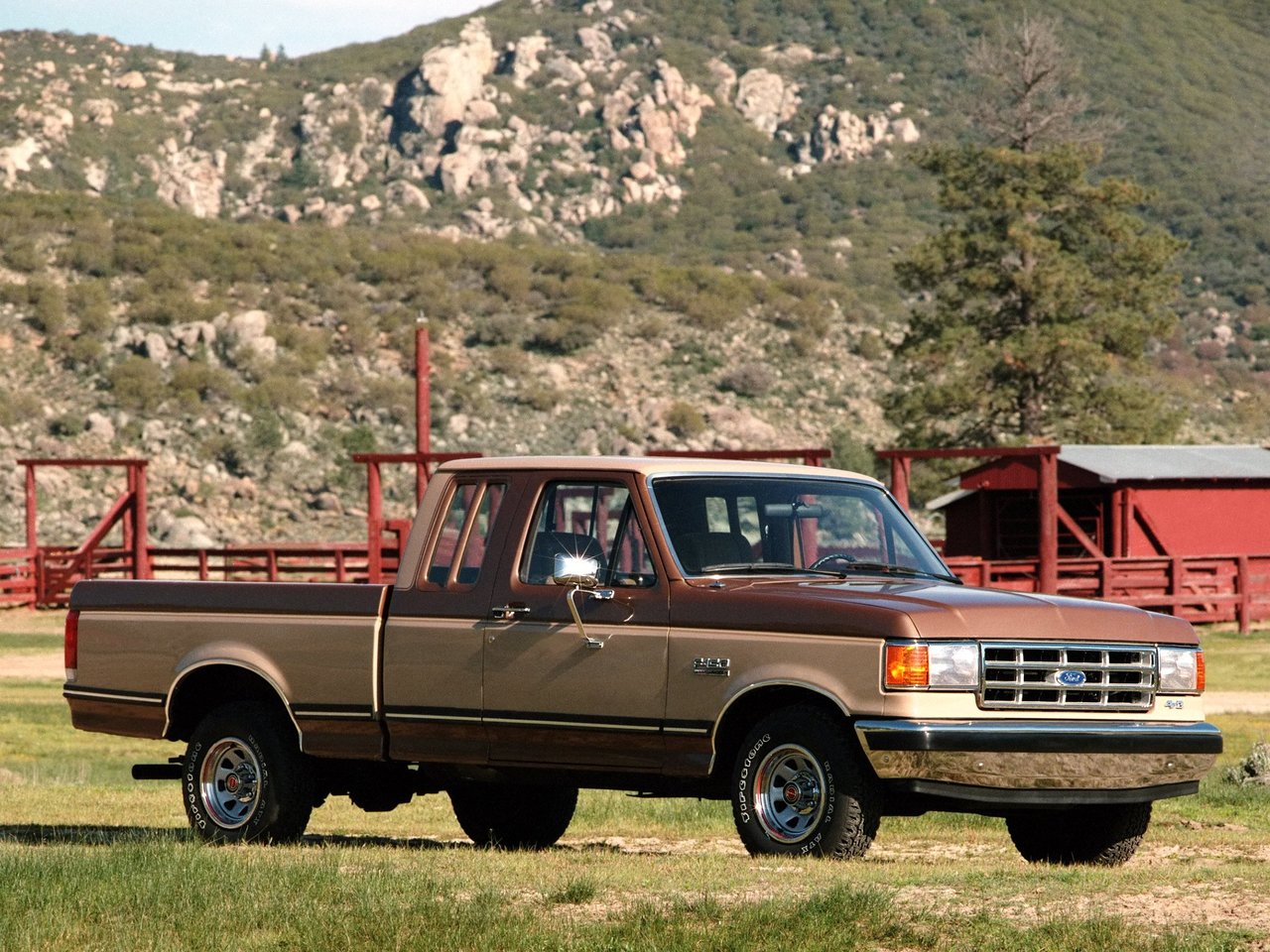 Фото Ford F-150 VIII