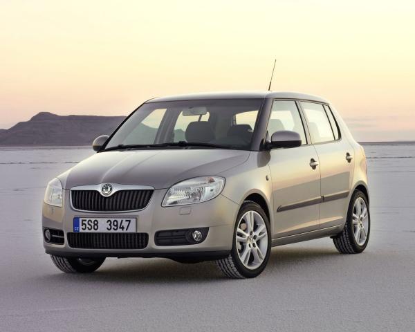 Фото Skoda Fabia II Хэтчбек 5 дв.