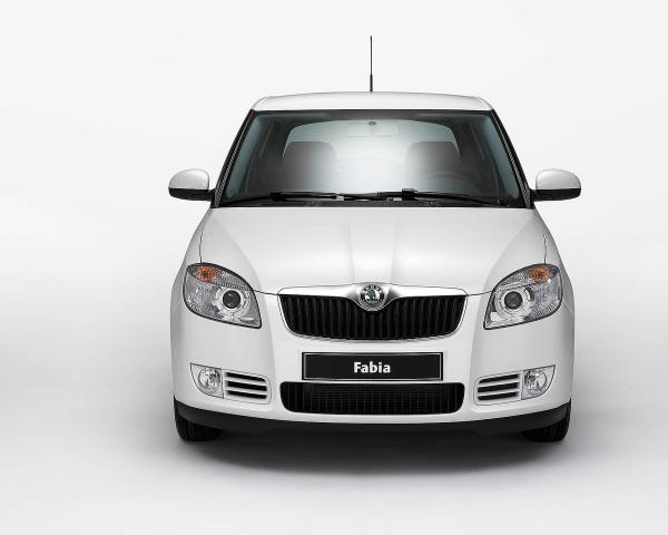 Фото Skoda Fabia II Хэтчбек 5 дв.