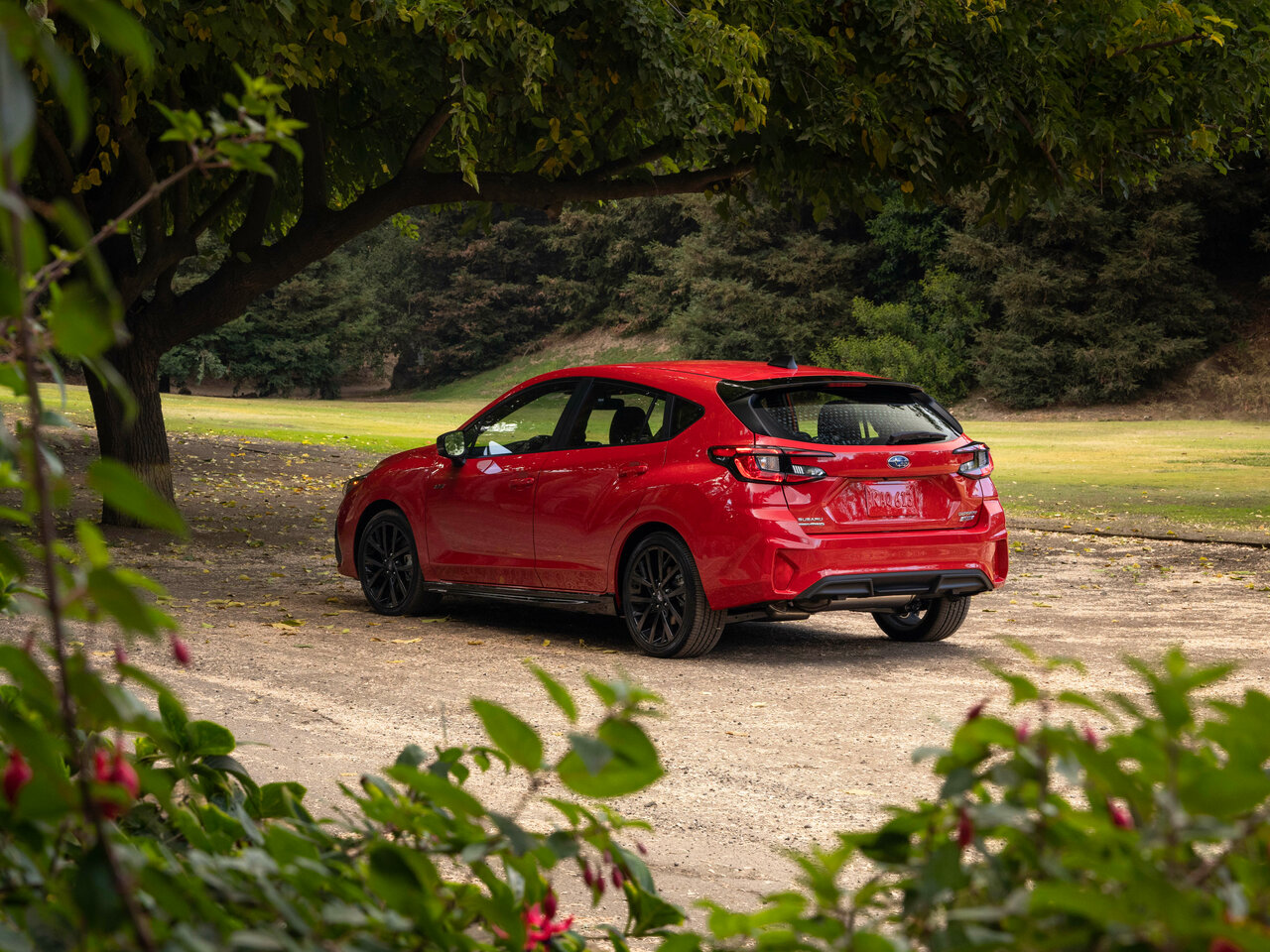 Фото Subaru Impreza VI