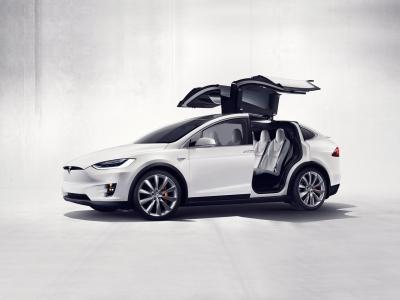 Фото Tesla Model X  Внедорожник 5 дв.