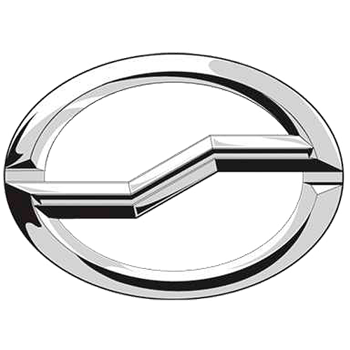 Логотип Tianye