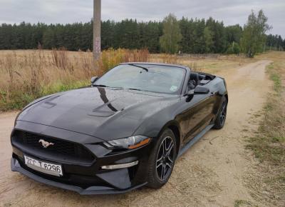 Фото Ford Mustang, 2018 год выпуска, с двигателем Бензин, 78 957 BYN в г. Минск